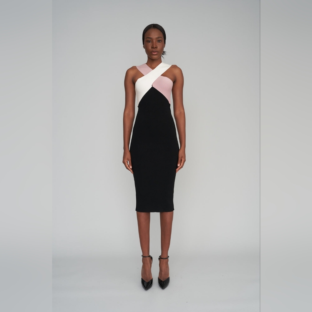 9. NWT LE SUPERBE DRINKS ON YOU DRESS